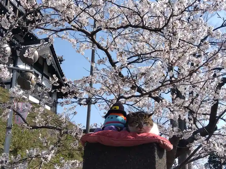 伊部波島大神(新潟県)