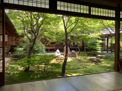 建仁寺（建仁禅寺）の庭園