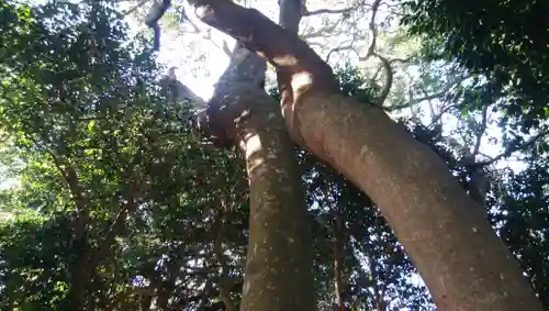 塙神社の自然