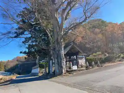 龍光院(長野県)