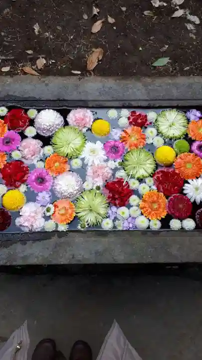 前玉神社の手水舎