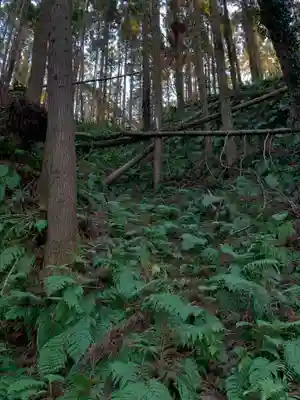 浅間神社の自然