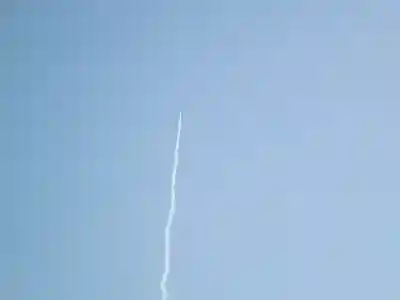 屋久島大社の体験その他