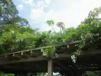 旗上弁財天社の自然