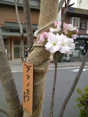 晴明神社(京都府)