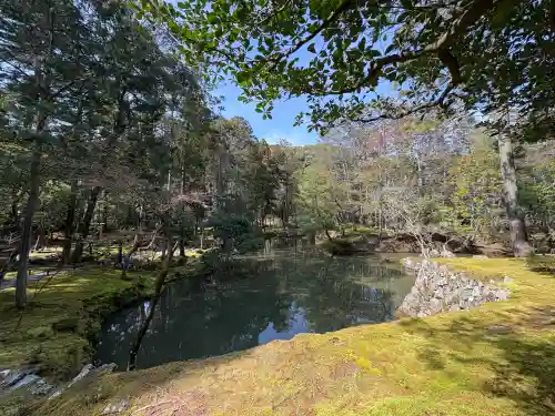 西芳寺の{uncategorized: "未分類", other: "その他", undefined: "問題あり", building: "その他建物", grave: "お墓", sacred_gate: "鳥居", guardian: "狛犬", statue: "像", buddha: "仏像", history: "歴史", nature: "自然", garden: "庭園", animal: "動物", pagoda: "塔", temizu: "手水舎", mountain_gate: "山門・神門", sanctuary: "本殿・本堂", subordinate: "末社・摂社", art: "芸術", scenery: "景色", jizo: "地蔵", ema: "絵馬", goshuin: "御朱印", omikuji: "おみくじ", items: "授与品その他", amulet: "お守り", goshuincho: "御朱印帳", eats: "食事", festival: "お祭り", votive_dance: "神楽", shichigosan: "七五三参", wedding: "結婚式", experience: "体験その他", initially: "初詣", around: "周辺", anti_infection: "感染症対策"}