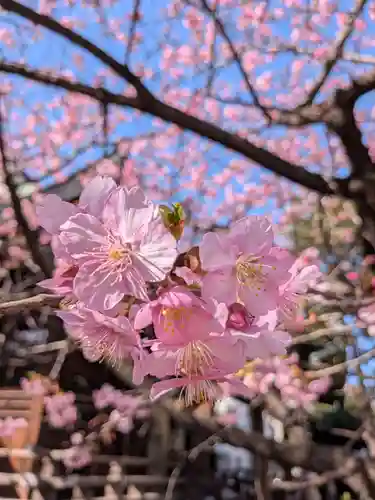 新宿下落合氷川神社(東京都)