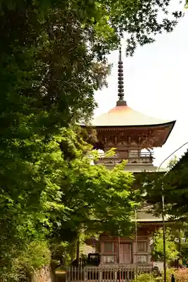 岩殿山安楽寺(吉見観音)(埼玉県)