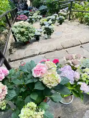 長谷寺(奈良県)