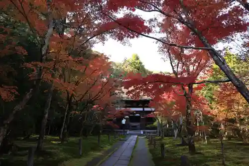 酬恩庵一休寺(京都府)