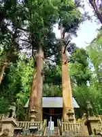 恵那神社の本殿・本堂
