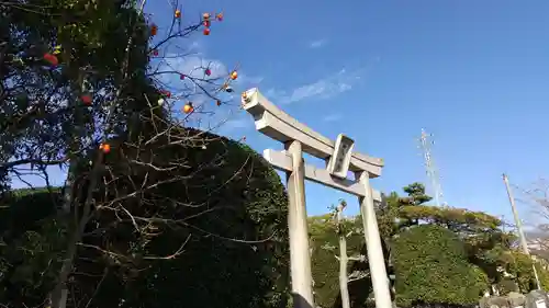 田縣神社の鳥居