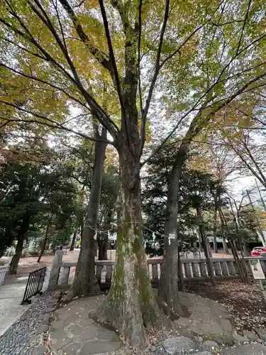 布多天神社(東京都)