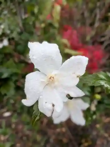 福寿院(東京都)