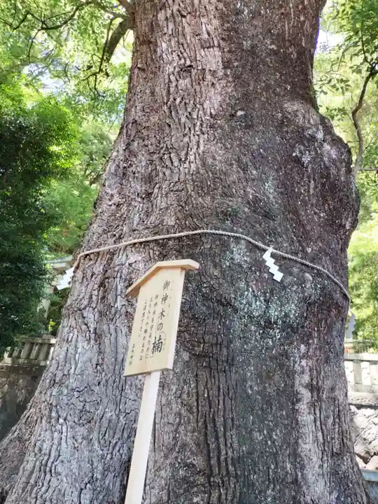 五所神社(神奈川県)