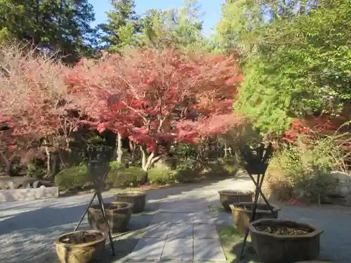 覚園寺の景色