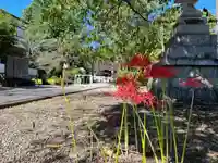 手力雄神社(岐阜県)