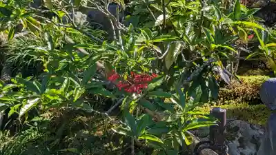 実光院(京都府)