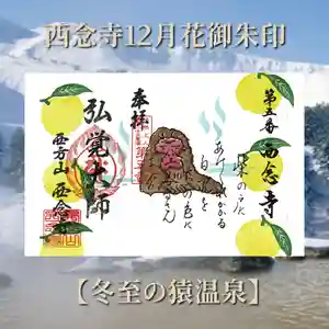 浄土宗 西念寺の御朱印 2025年12月01日(月)〜(2025年11月30日(日) 08時05分40秒投稿)