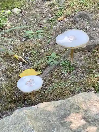 城南宮(京都府)