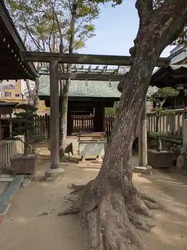 大阪天満宮(大阪府)