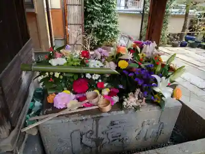 勝林寺(京都府)