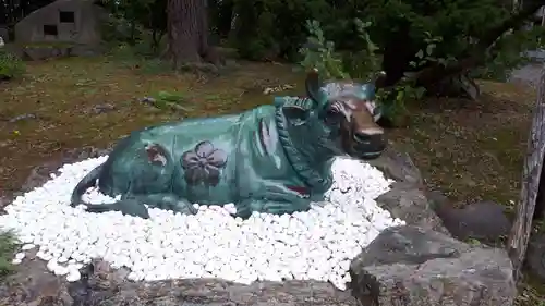 上川神社の狛犬