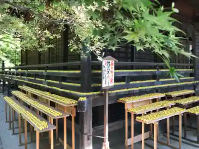 多聞院(埼玉県)