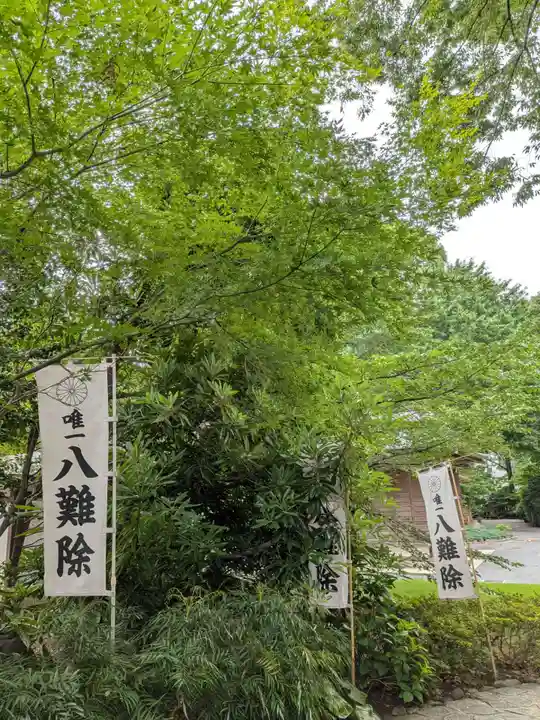 阿佐ヶ谷神明宮(東京都)