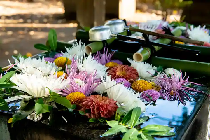 石神井氷川神社(東京都)