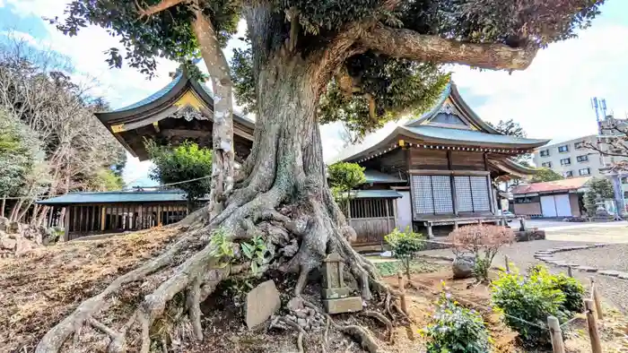 埴生神社の建物その他