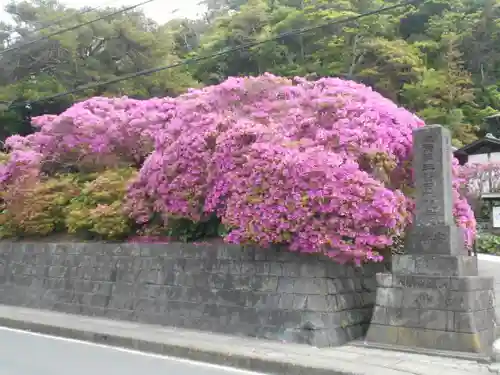 安養院　(田代寺）の周辺