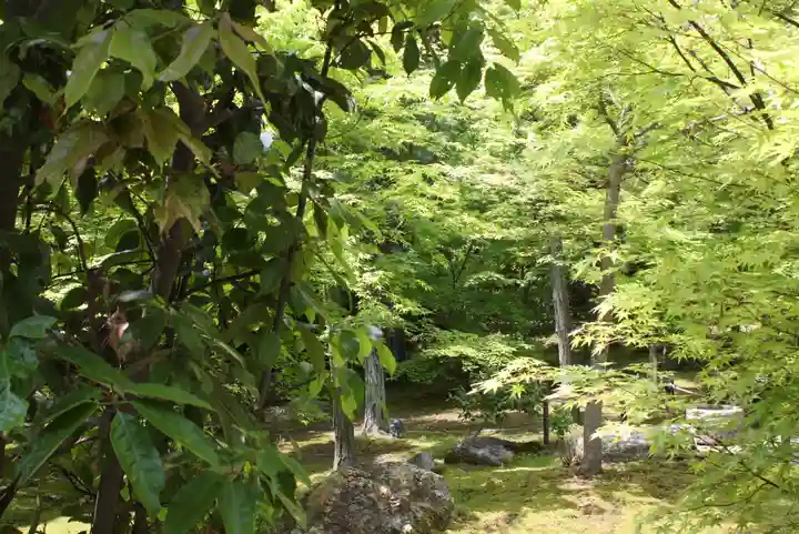 勝林寺(京都府)