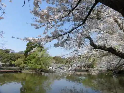 鶴岡八幡宮の{uncategorized: "未分類", other: "その他", undefined: "問題あり", building: "その他建物", grave: "お墓", sacred_gate: "鳥居", guardian: "狛犬", statue: "像", buddha: "仏像", history: "歴史", nature: "自然", garden: "庭園", animal: "動物", pagoda: "塔", temizu: "手水舎", mountain_gate: "山門・神門", sanctuary: "本殿・本堂", subordinate: "末社・摂社", art: "芸術", scenery: "景色", jizo: "地蔵", ema: "絵馬", goshuin: "御朱印", omikuji: "おみくじ", items: "授与品その他", amulet: "お守り", goshuincho: "御朱印帳", eats: "食事", festival: "お祭り", votive_dance: "神楽", shichigosan: "七五三参", wedding: "結婚式", experience: "体験その他", initially: "初詣", around: "周辺", anti_infection: "感染症対策"}