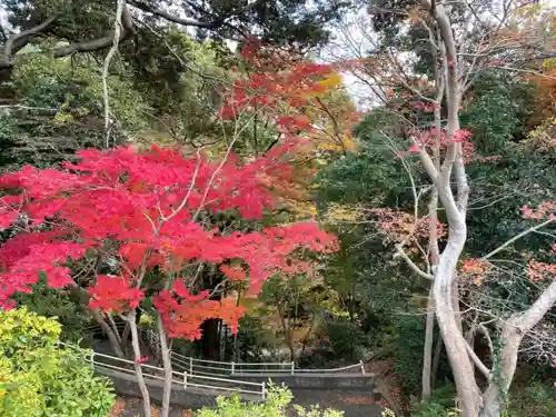 水間寺の景色