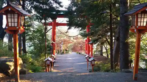 新倉富士浅間神社の鳥居