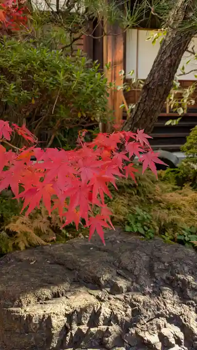 宝蔵寺(京都府)
