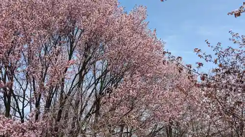六角堂（深山峠新四国八十八ヶ所霊場）の自然