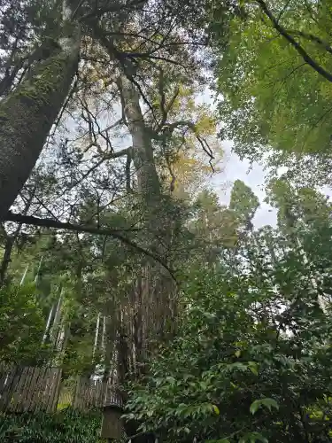 貴船神社結社(京都府)