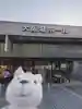 Hamu