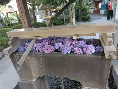 鳩森八幡神社の手水舎