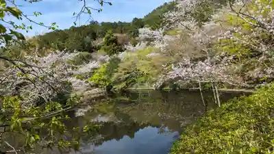 龍安寺(京都府)