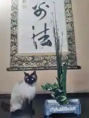 中宮寺の動物