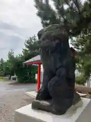 大森稲荷神社の狛犬