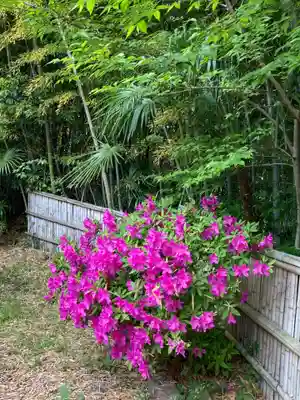 正蔵院(神奈川県)