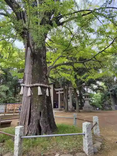 赤坂氷川神社(東京都)