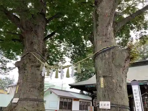 熊野宮のその他建物