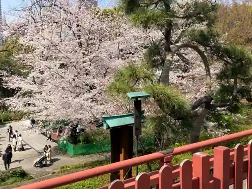 清水観音堂の景色