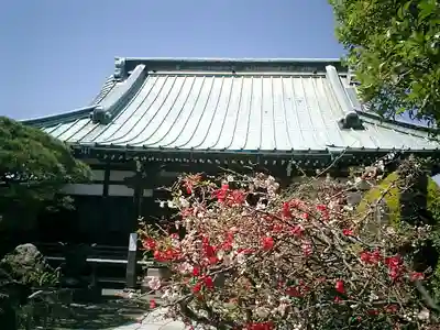 九品寺の本殿・本堂