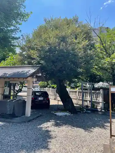 白鬚神社のその他建物